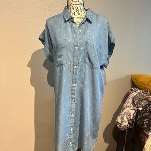 Blue Button-Up Denim Dress
